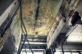 Best Mold Odor Removal Services  in Sylvan Springs, AL